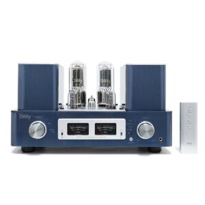 Oilily A211 MK Vacuum Tube Amp | 12W Class A Single-Ended Triode | Hand-Wired Point-to-Point Masterpiece