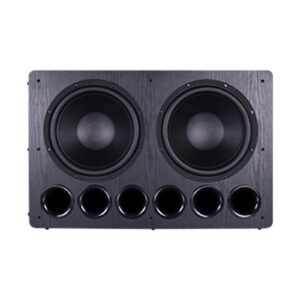 TONE WINNER Storm SUB-8000PRO Dual 15-inch High-Power DSP Professional Cinema Hi-Fi Active Subwoofer