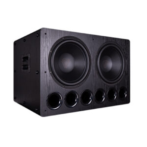 TONE WINNER Storm SUB-8000PRO Dual 15-inch High-Power DSP Professional Cinema Hi-Fi Active Subwoofer