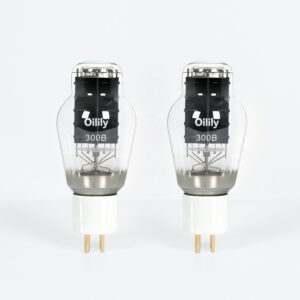 A pair of 300B vacuum tubes