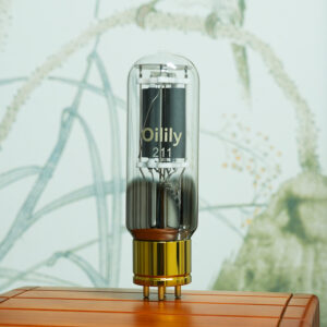 1 pair of 211 vacuum tubes