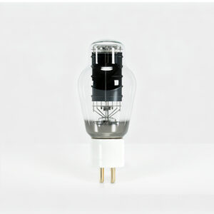 A pair of 300B vacuum tubes